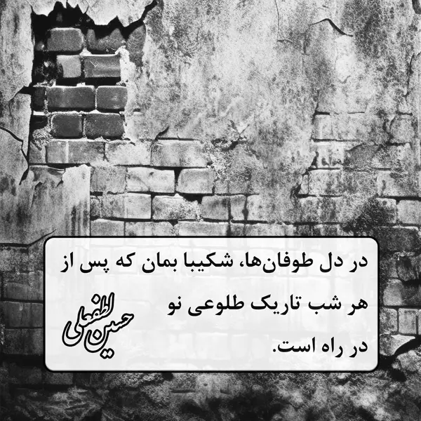 در دل طوفان ها شکیبا بمان که پس از هر شب تاریک طلوعی نو در راه است. (حسین لطفعلی)